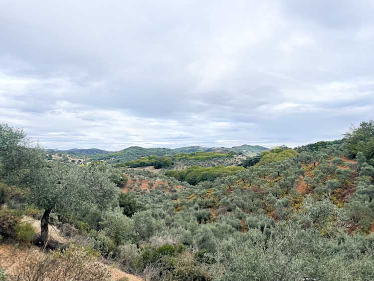 Header_Andalousie