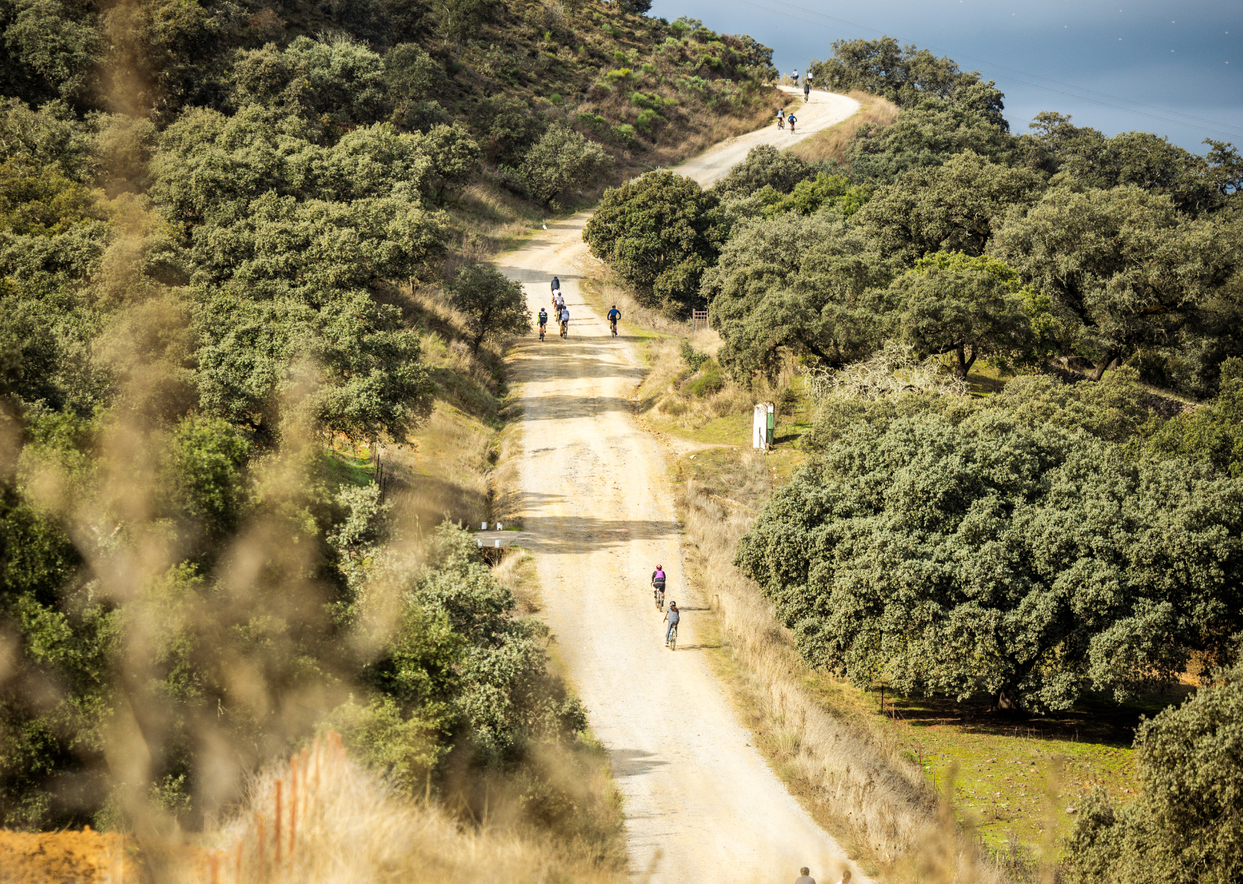 Pistes gravel en Andalousie
