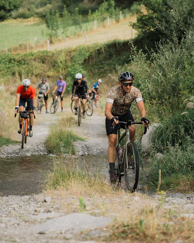 Avis_Pyrénée_Sébastien Legrand