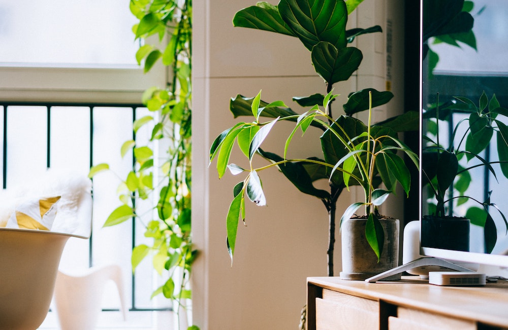 What Is Feng Shui? A Guide to Creating Harmony In Your Home