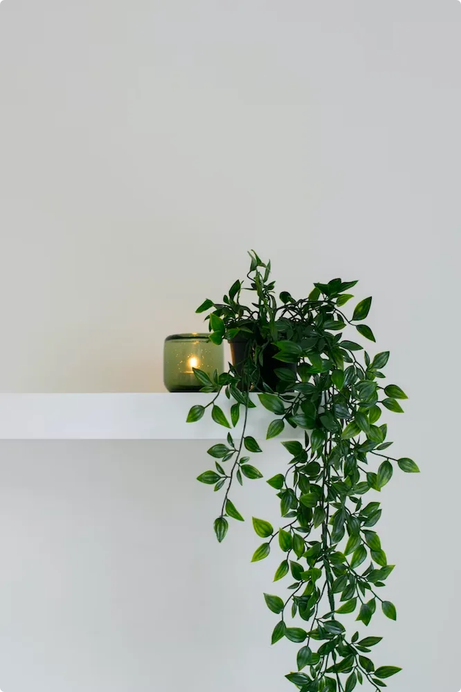 Bathroom candles