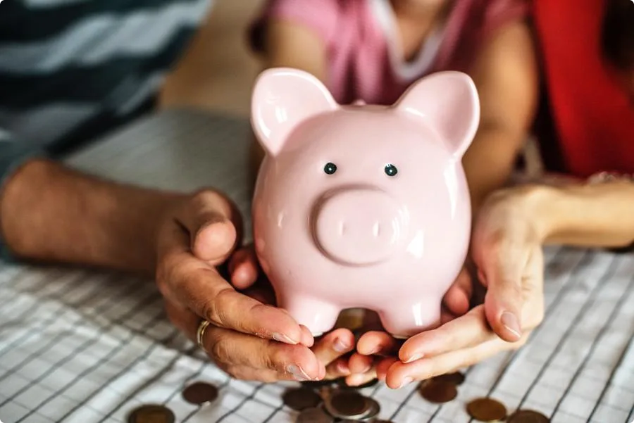 money pig