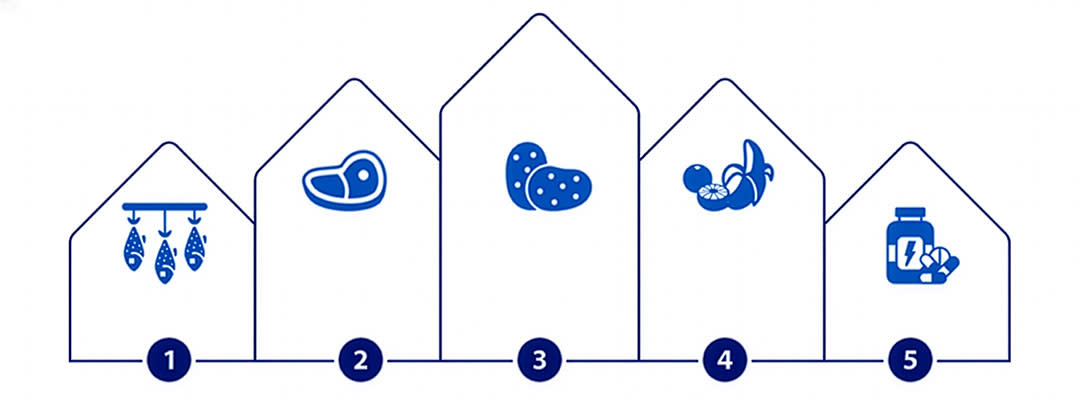 vitamin b6 sources grapics