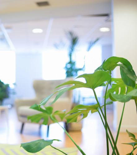 Flexible work schedule