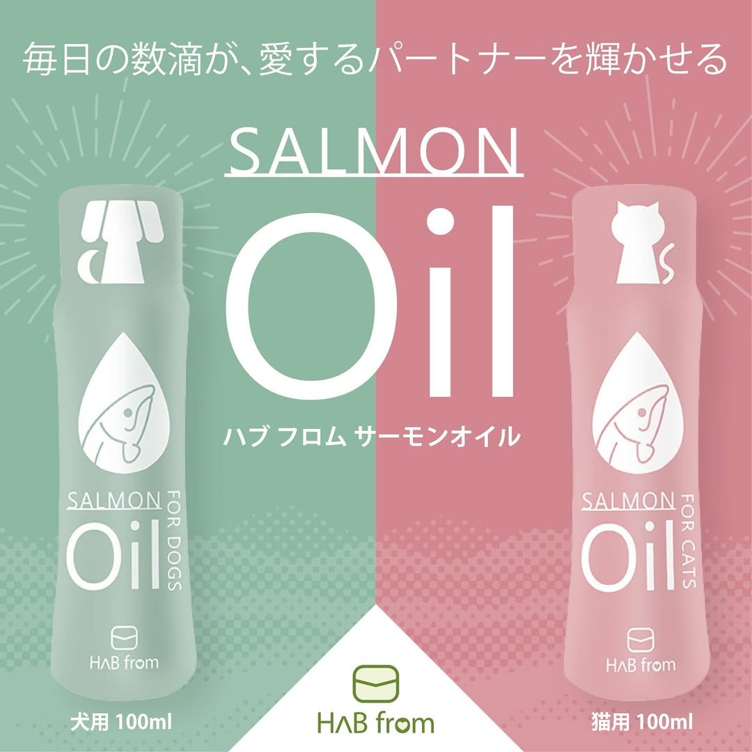 焼き鮭のような香ばしさで猫ちゃんが夢中に!「HAB from サーモンオイル 猫用 100ml」の無料モニターを募集