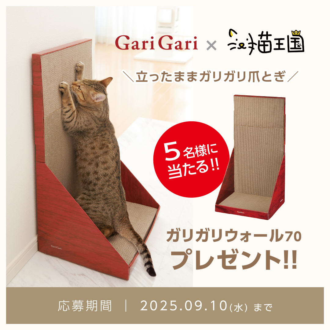 【GariGari】ガリガリウォール70が当たる🎁Instagram投稿キャンペーン開催中!