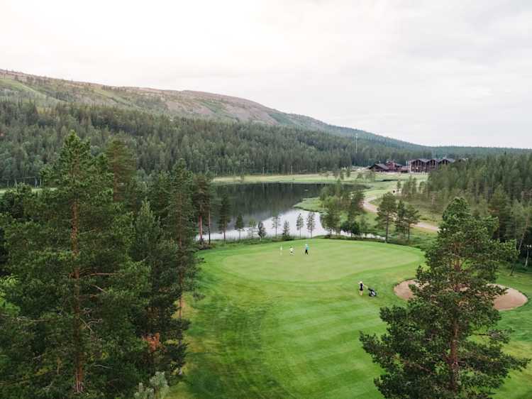 levi golf