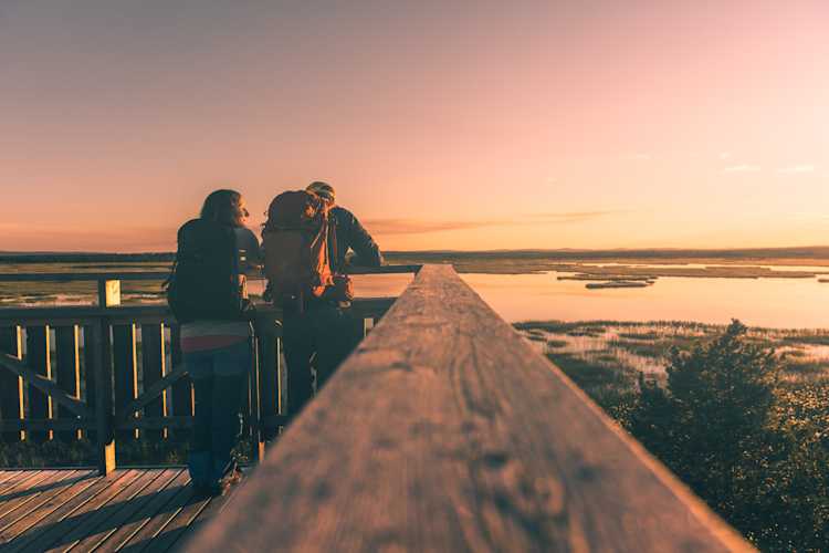 midnightsun