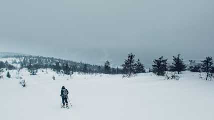 Lumikenkäily on rentouttava keino nauttia Levin talvimaisemista ja kokea täydellinen luonnonrauha.

