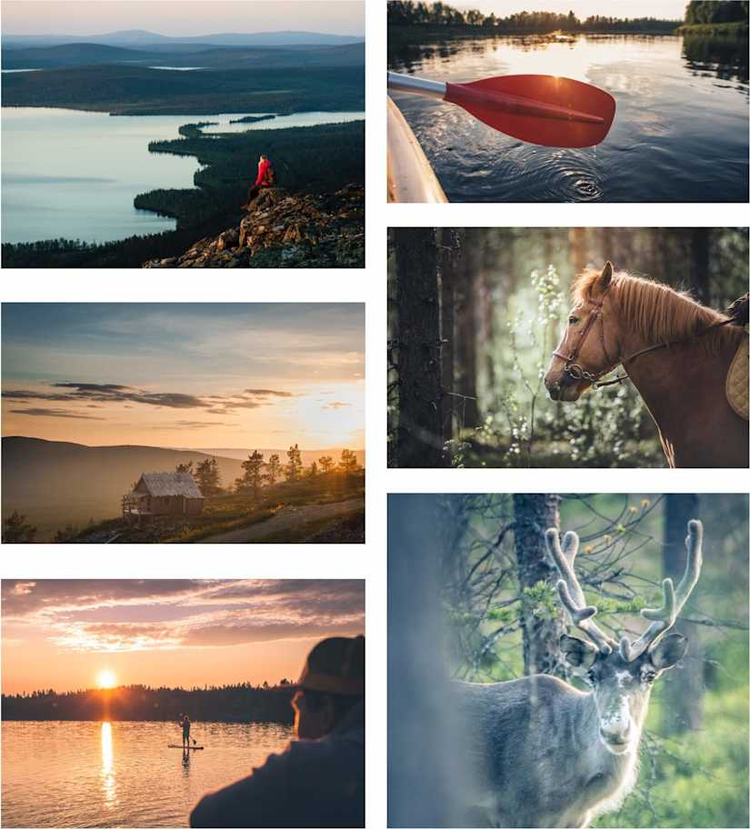 Midnight Sun Activities