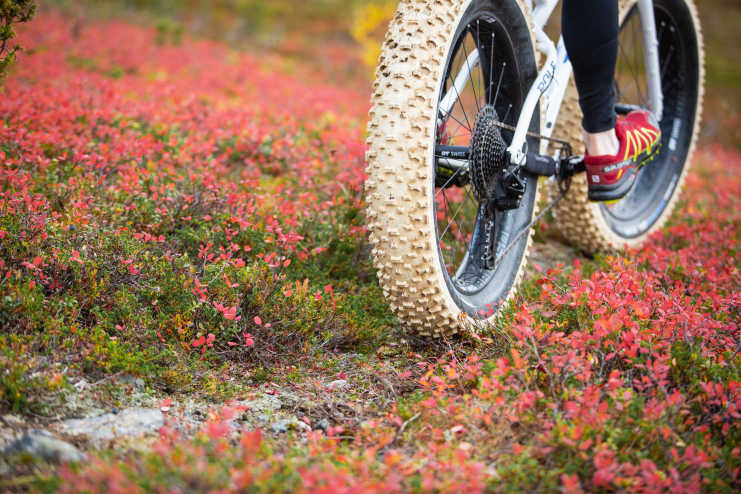 autumn colors bike