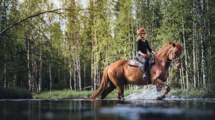 Ratsastaja ja hevonen ylittävät jokea