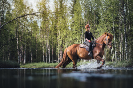 Ratsastaja ja hevonen ylittävät jokea