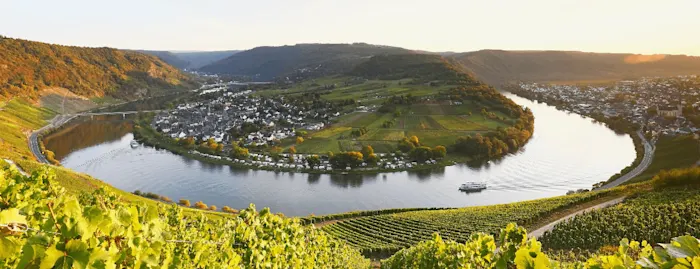 Diese Wohnmobil-Tour entlang der Mosel ist perfekt für ein Wochenende