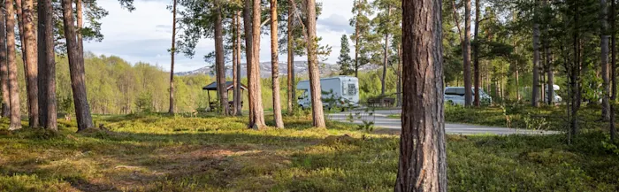 Warum ich Schweden im Mai immer wieder besuchen würde.