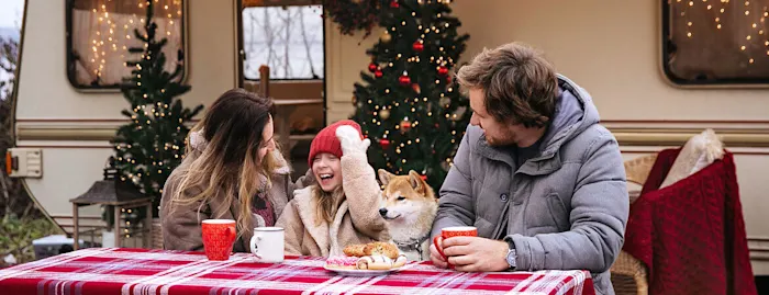 An diesen 8 Orten macht Weihnachten im Wohnmobil richtig Spaß