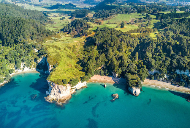 Playa rodeada de rocas y bosque en Auckland, Nueva Zelanda