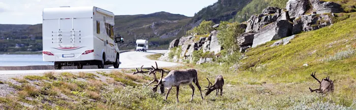 Mit dem Wohnmobil zum Nordkap: Diese Route ist perfekt für 3 Wochen