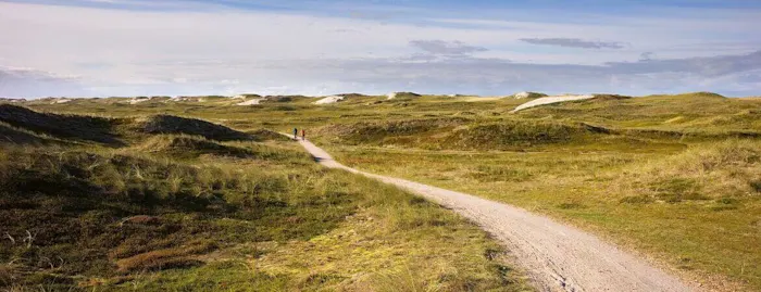 Nordseeküstenradweg und Co. – die besten Radtouren an der Nordsee