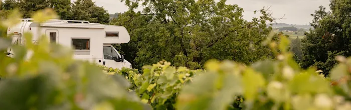 Weinwanderungen und Camping: Routenvorschläge im Weinanbaugebiet Rheinhessen