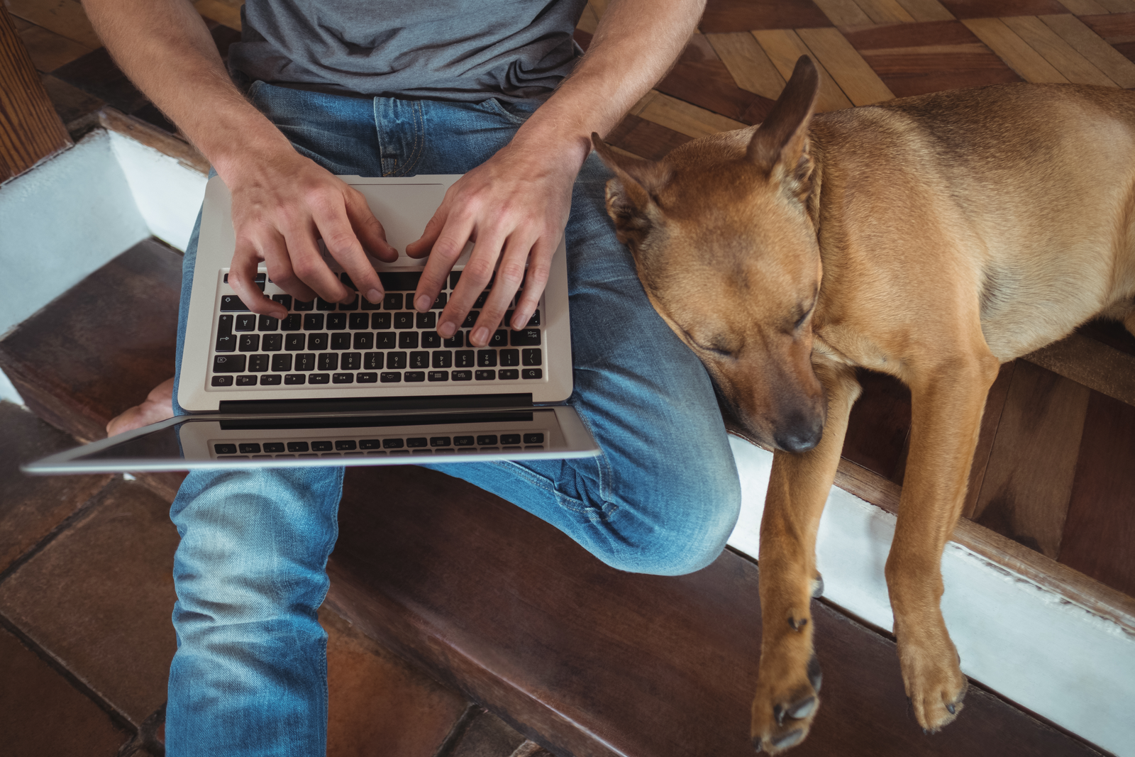Automate finance routines with Corporate Banking APIs