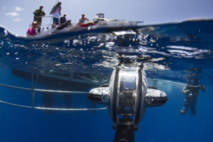 deep trekker DTG2 exploring underwater