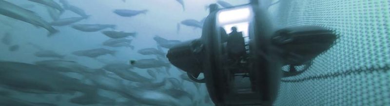 marine-rov-aquaculture-fish-farm-inspection