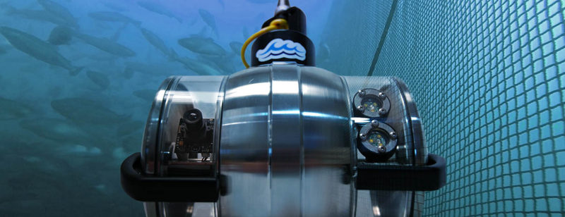 dtpod-aquaculture-surveillance camera