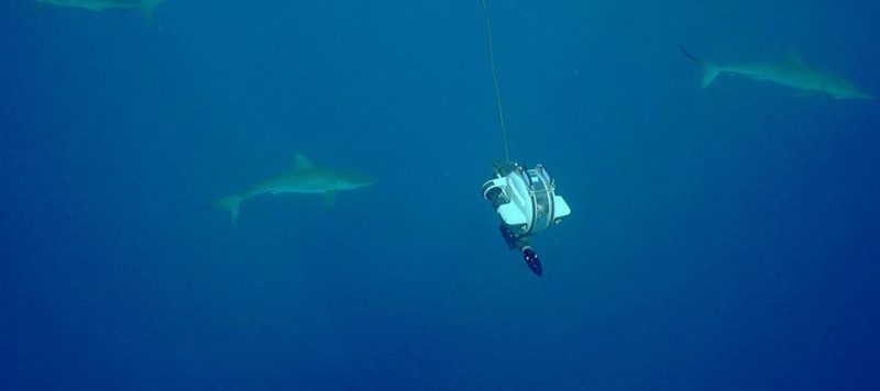 shark week dtg2 rov underwater drone