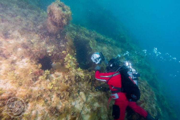 deep-trekker-rov-hms-erebus-franklin-expedition-ship-wreck-14
