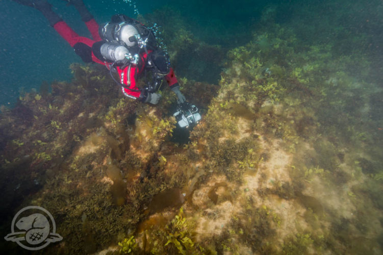 deep-trekker-rov-hms-erebus-franklin-expedition-ship-wreck-10