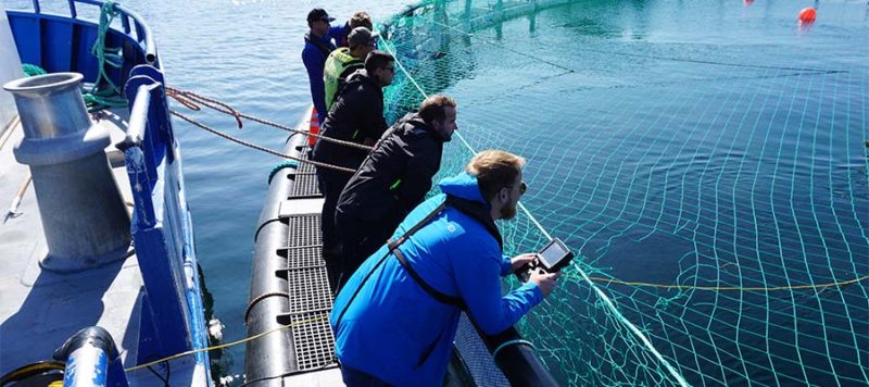 aquaculture net inspection