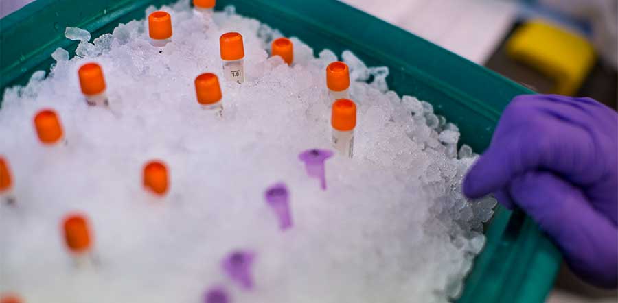vials with orange caps in ice