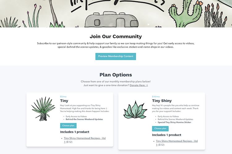 Tiny Shiny Home community