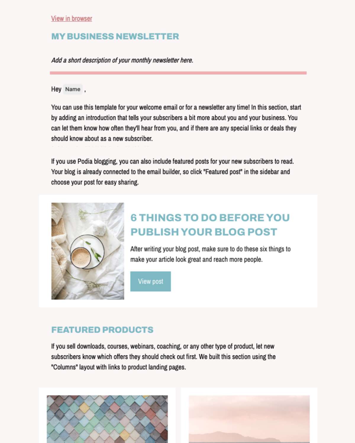 Email newsletter example 5