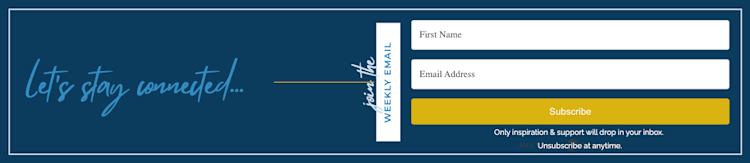 Audience Guide Chapter 10 Veronica Green newsletter