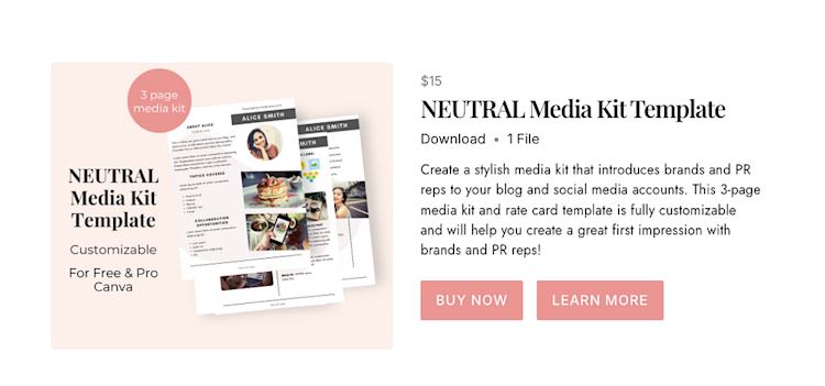 Confident Blogger Acadamy media kit template