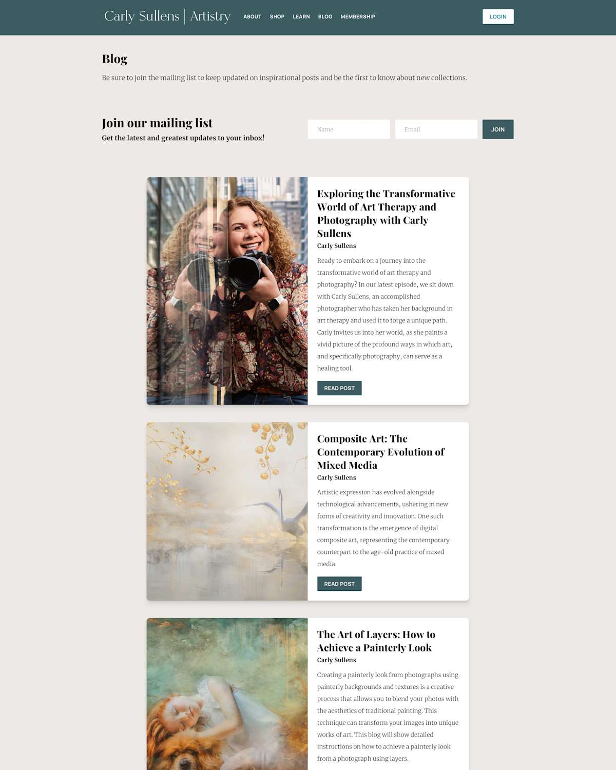 Blog screenshot 7
