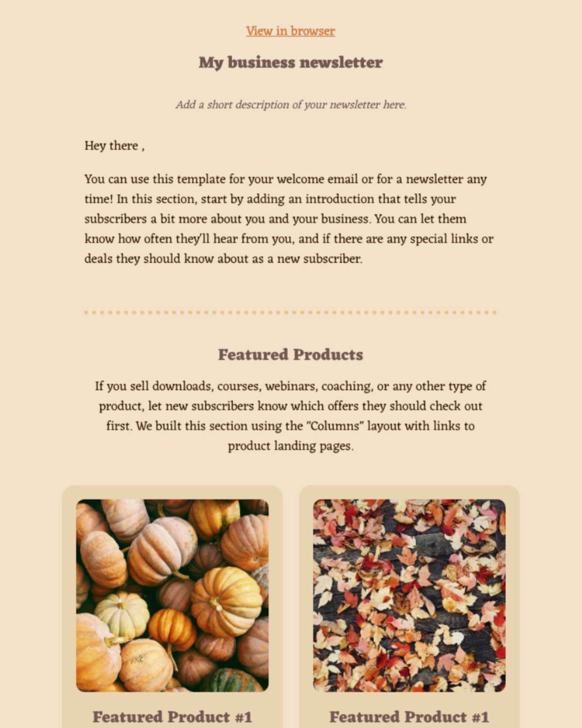 Email newsletter example 4