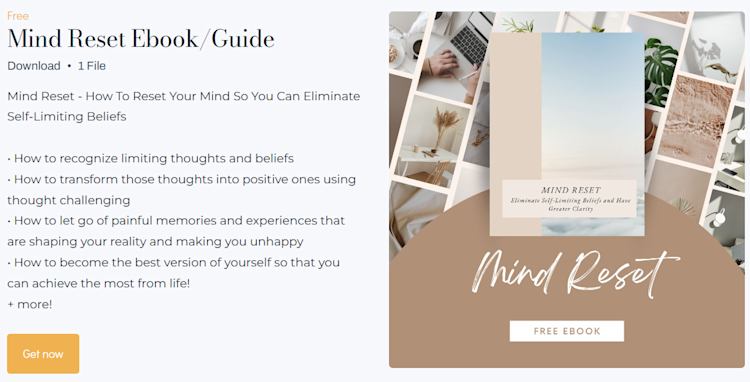 Hannah Chu Mind Reset ebook