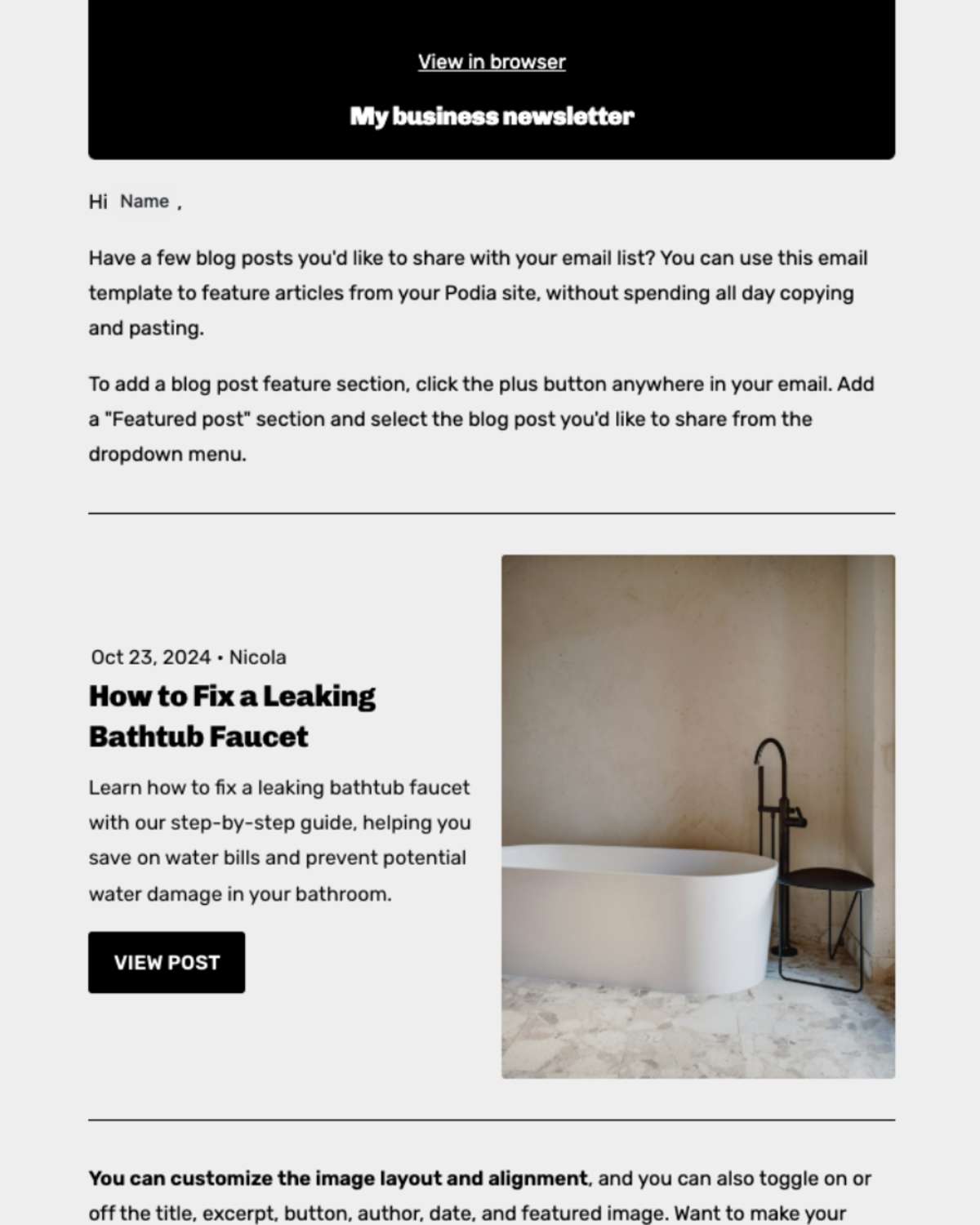 Email newsletter example 8