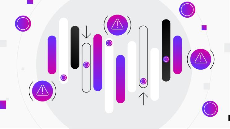 What are the factors that influence interchange rates?