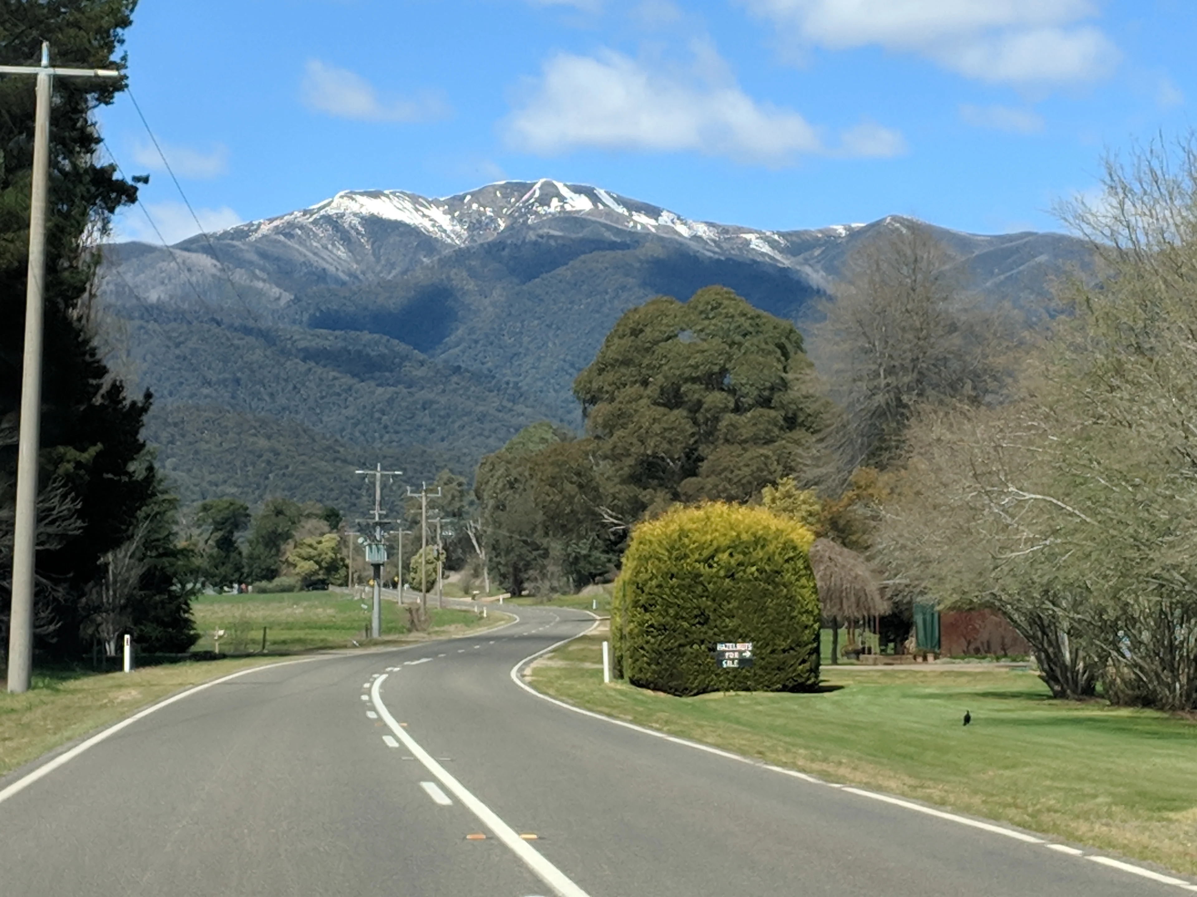 A typical view of the mountains in the Victorian High Country.
