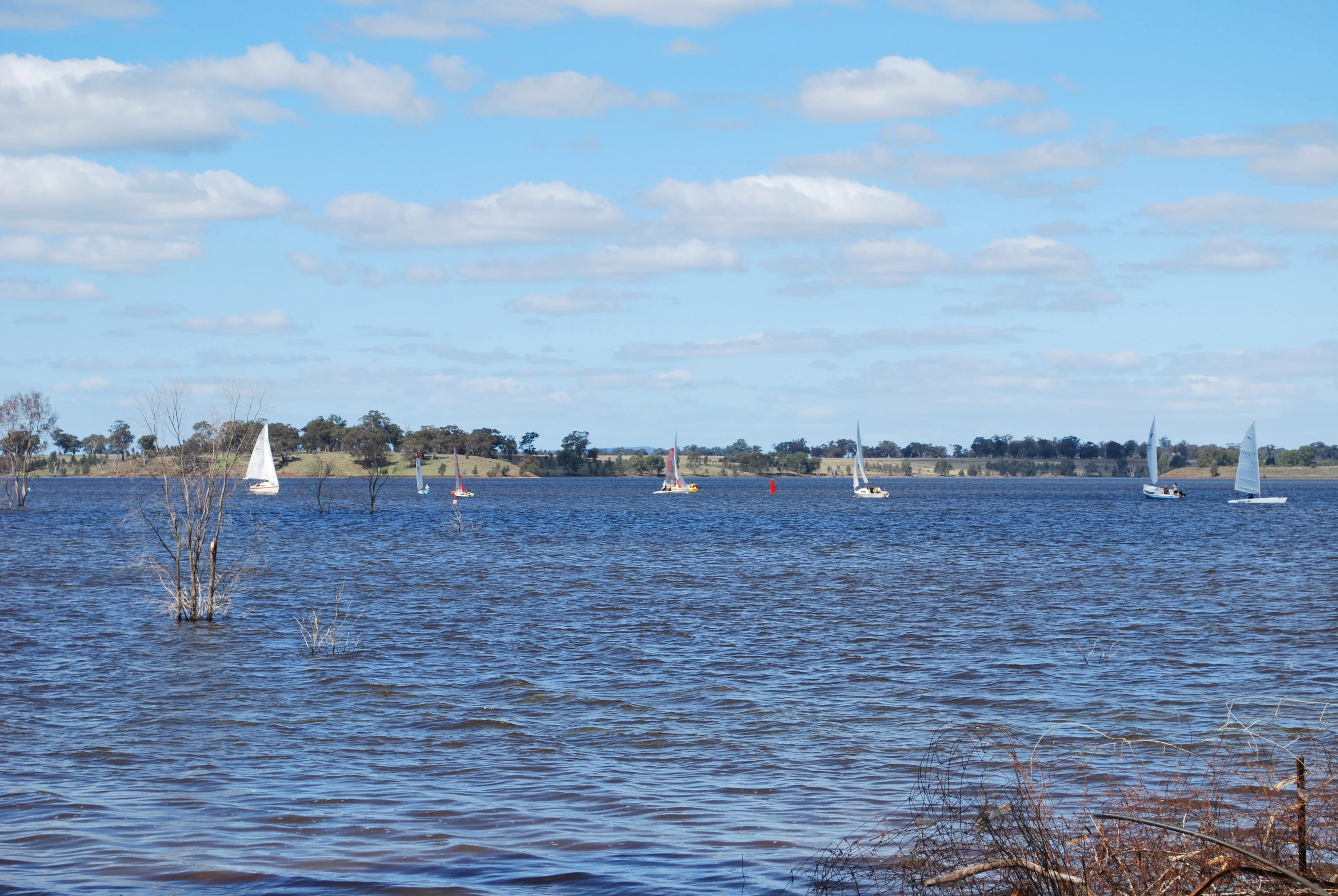 Yachts on Lake Eppalock on a sunny day. Bendigo region, Victoria.