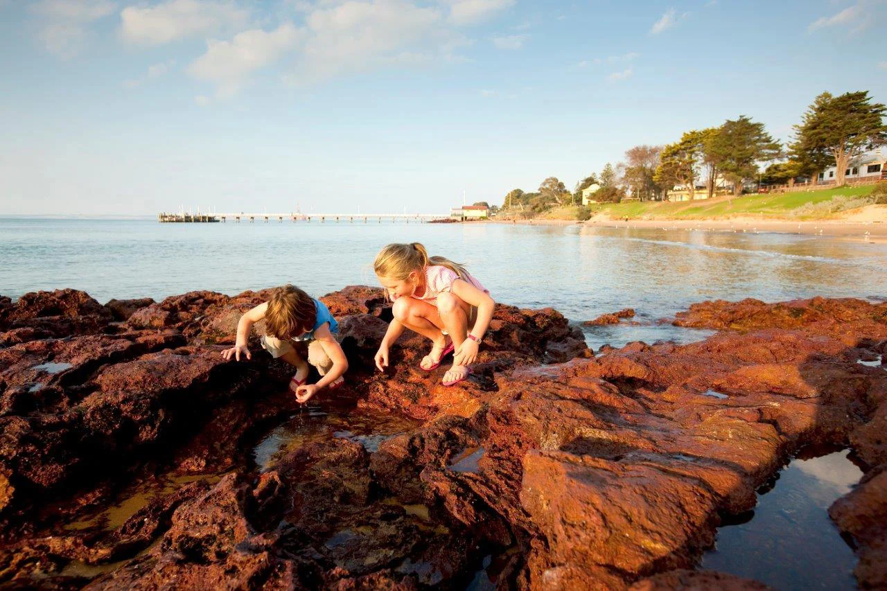 Kids playing in rockpools near Cowes Main Beach, Phillip Island