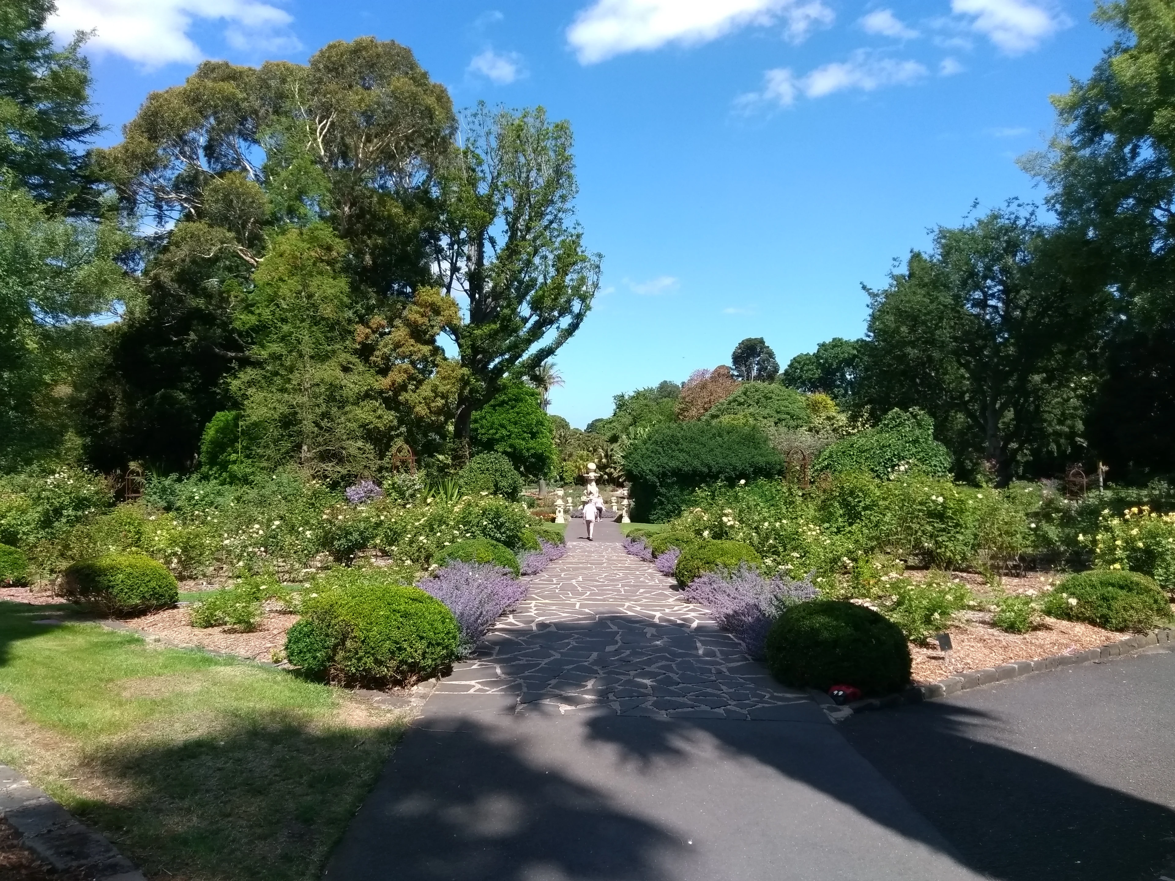 A footpath in the Geelong Botanical Gardens.