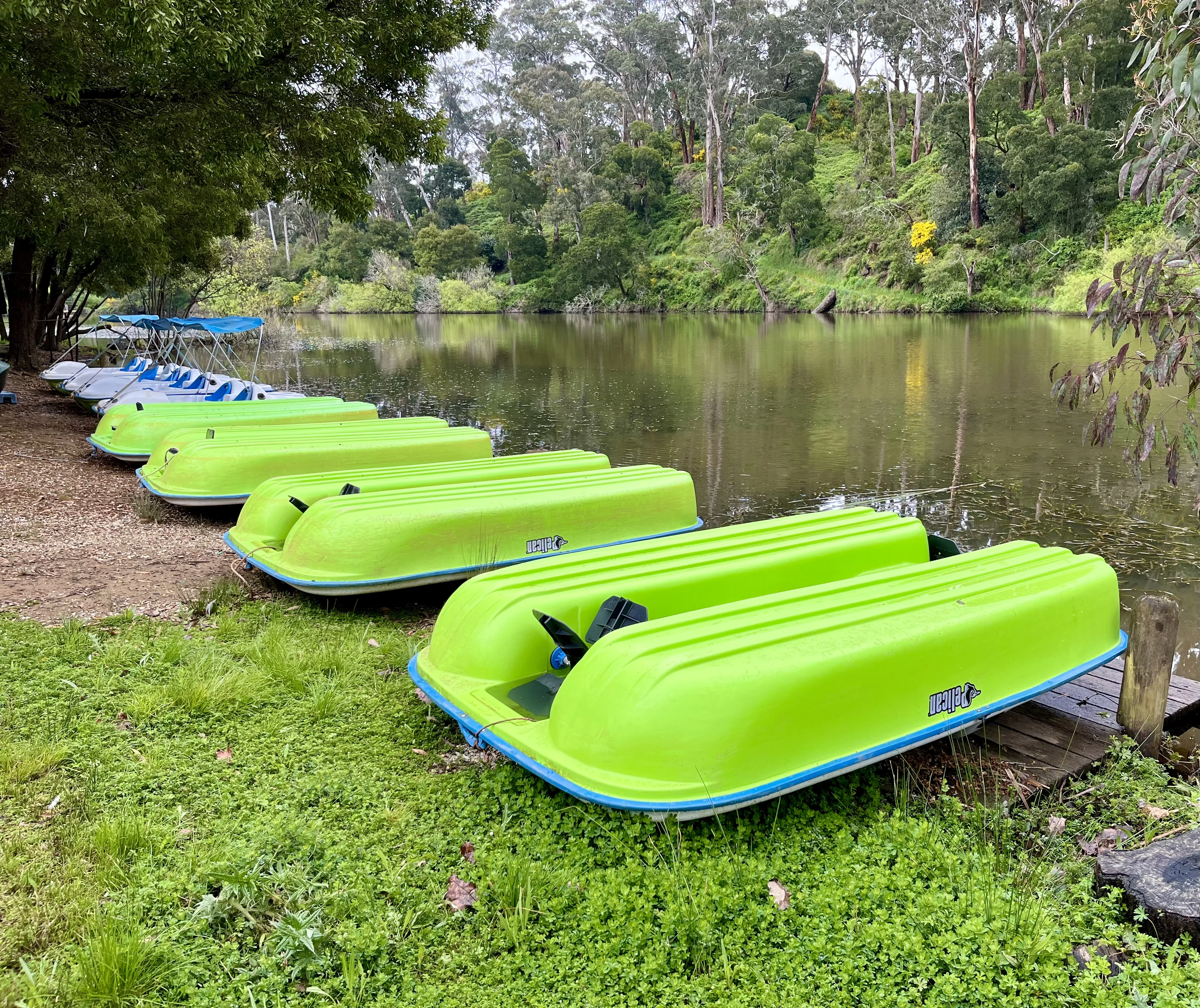 Paddle boats at Lake Jubilee, Daylesford