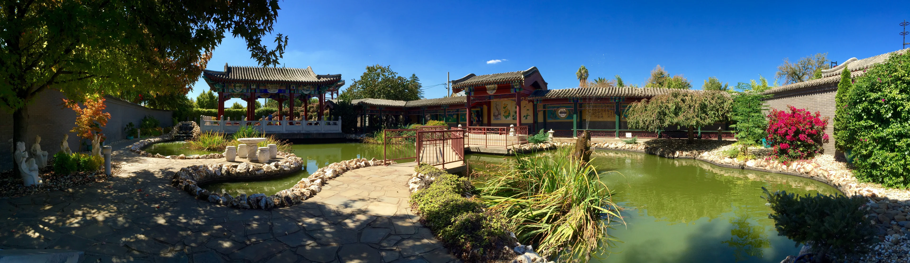 Chinese gardens at the Golden Dragon Museum in Bendigo, Victoria.