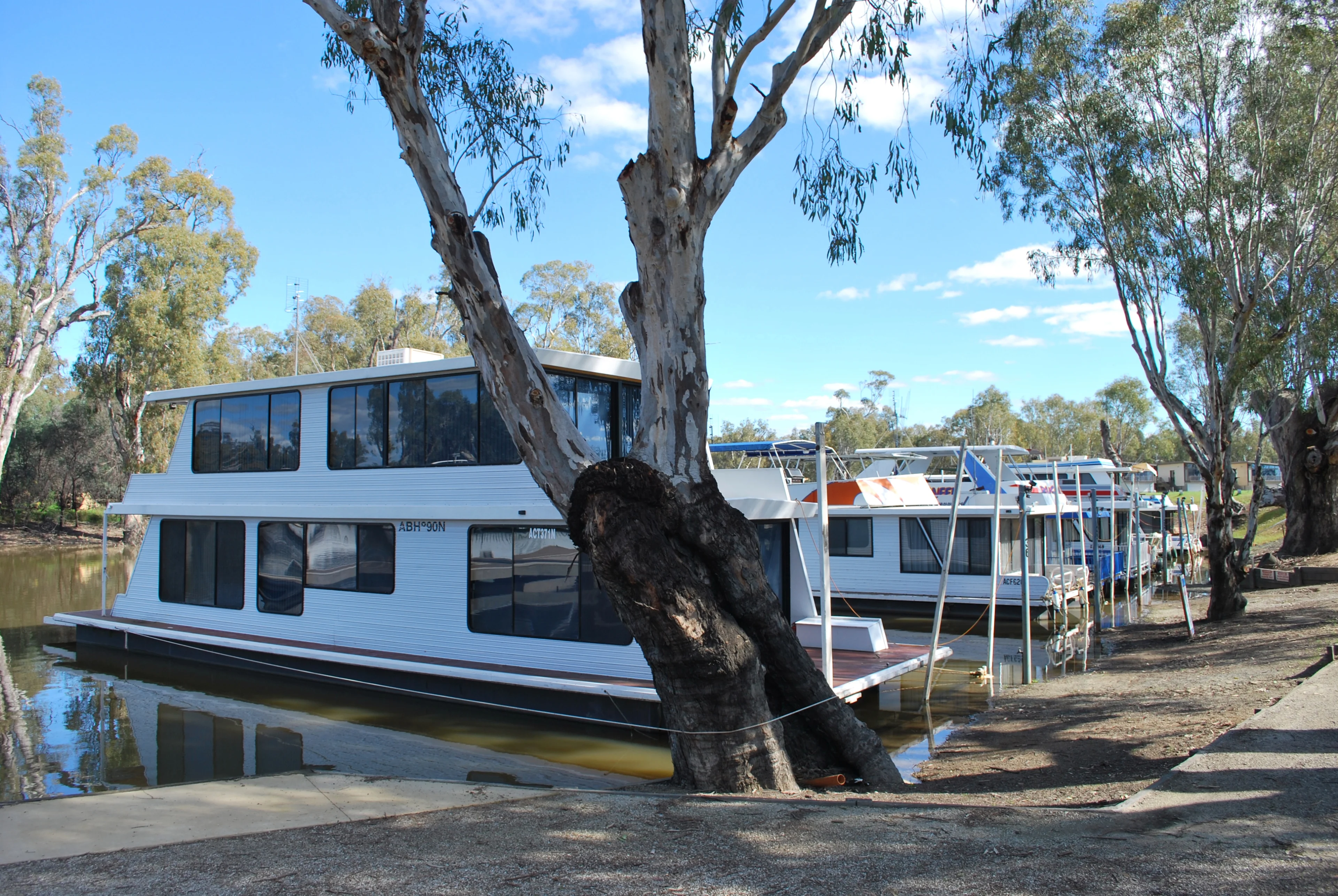 Houseboats moored at Deep Creek Marina near Moama, on the New South Wales side of the Murray River