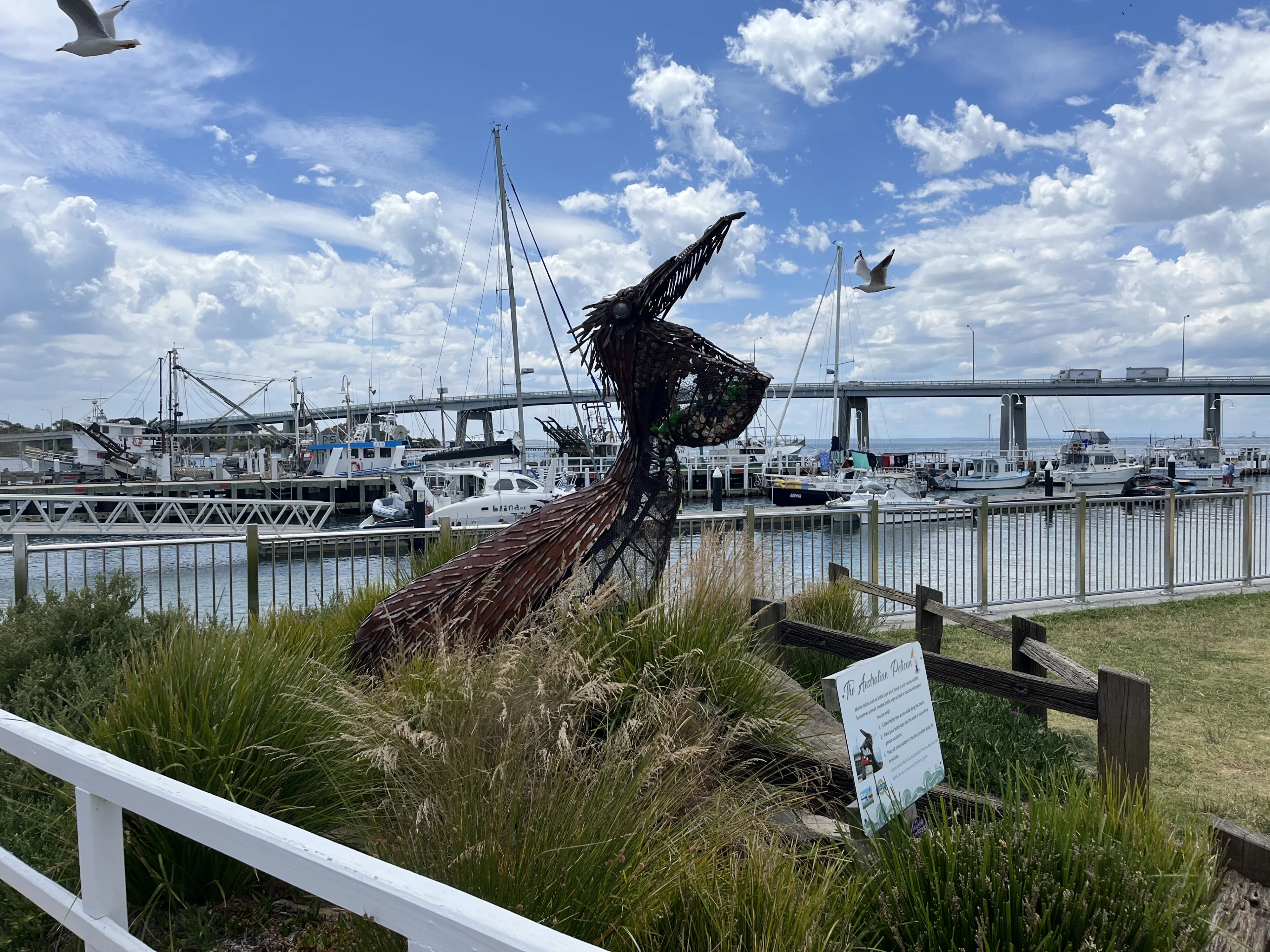 A metal sculpture of a pelican at San Remo foreshore. San Remo, Victoria.